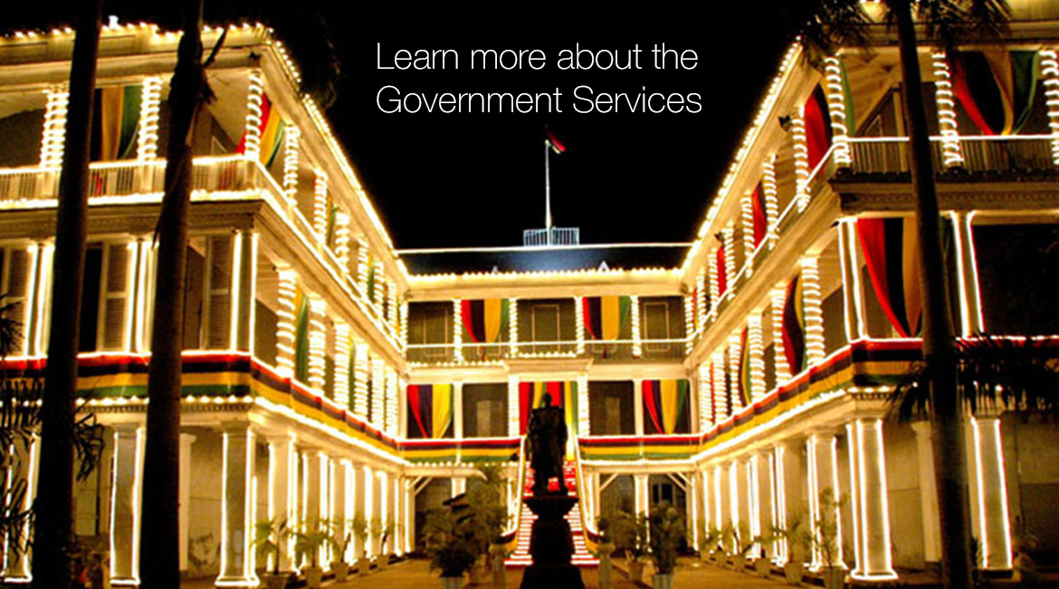Learn more about the Government Services